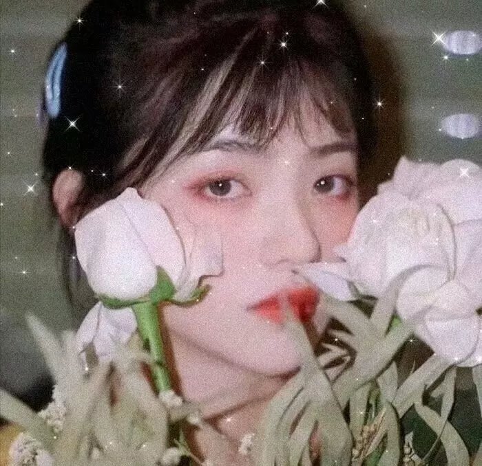 来自美国的莫里斯