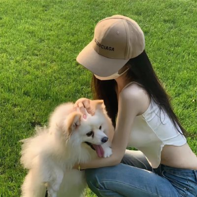 燕子与鹦鹉